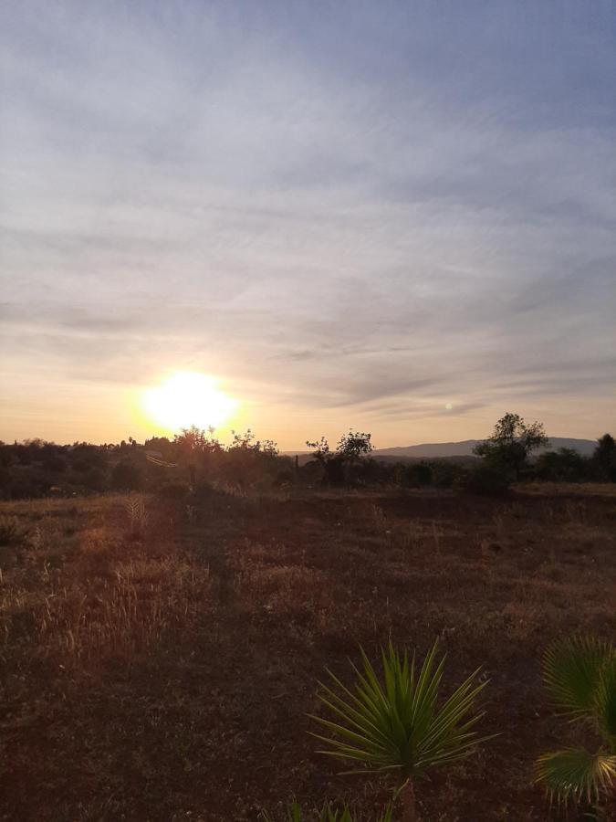 Quinta Das Piteiras-Turismo Rural Silves Kültér fotó